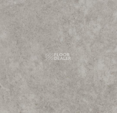 Линолеум Forbo Eternal Material 10032 fossil stucco фото 1 | FLOORDEALER